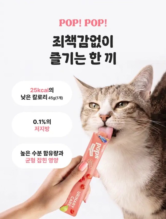 고양이가 먼저 달려오는 간식🐱💕  팝케어 팝스 고양이 습식 스틱 , 기호성 직접 먹여본 후기