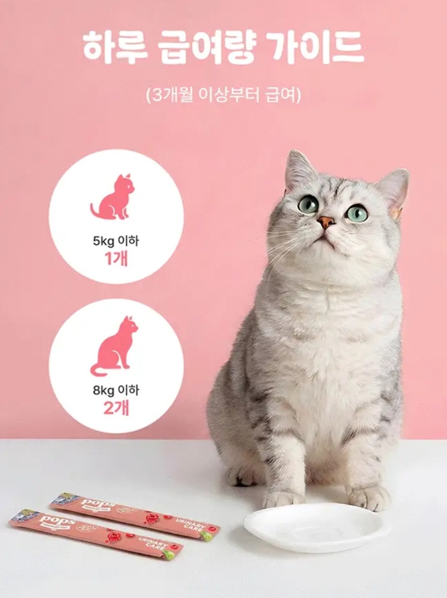 고양이가 먼저 달려오는 간식🐱💕  팝케어 팝스 고양이 습식 스틱 , 기호성 직접 먹여본 후기