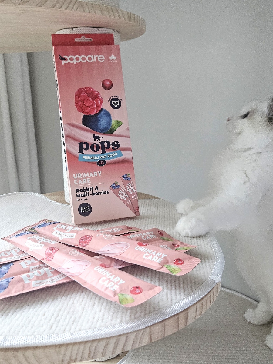 고양이가 먼저 달려오는 간식🐱💕  팝케어 팝스 고양이 습식 스틱 , 기호성 직접 먹여본 후기
