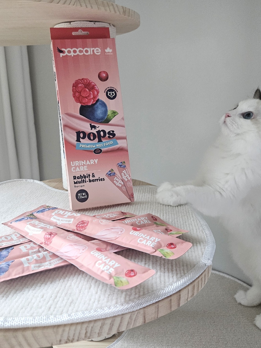 고양이가 먼저 달려오는 간식🐱💕  팝케어 팝스 고양이 습식 스틱 , 기호성 직접 먹여본 후기