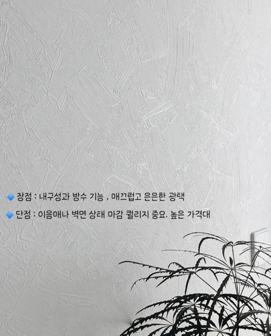 🐾 어느 날 발견한 벽지의 흔적
