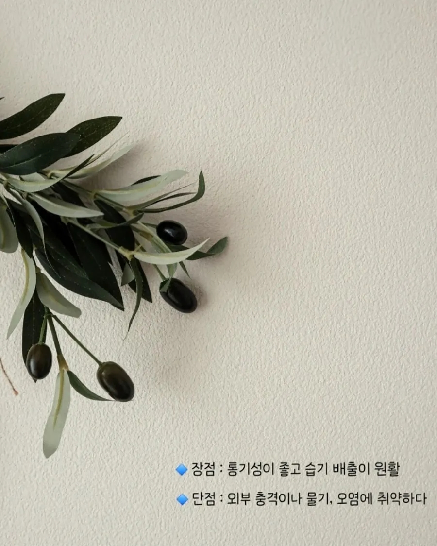 🐾 어느 날 발견한 벽지의 흔적