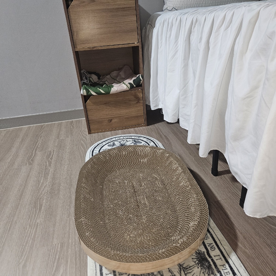🐾 어느 날 발견한 벽지의 흔적