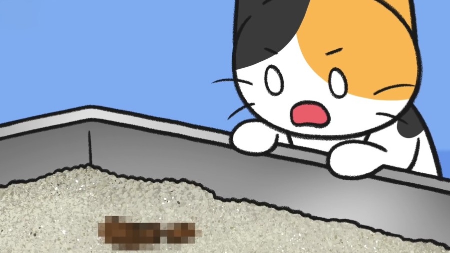 보리야 거긴 화장실 아니야😂” 고양이 갑자기 오줌 싸는 이유와 배변실수 이야기