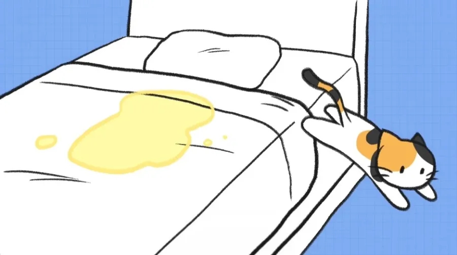 보리야 거긴 화장실 아니야😂” 고양이 갑자기 오줌 싸는 이유와 배변실수 이야기